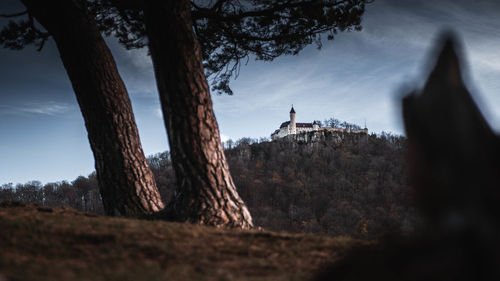 View of trees and buildings against sky