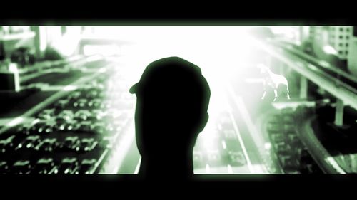Rear view of silhouette man against window at night