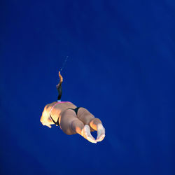 High angle view of woman diving into swimming pool