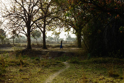 Rear view of man standing on field in forest