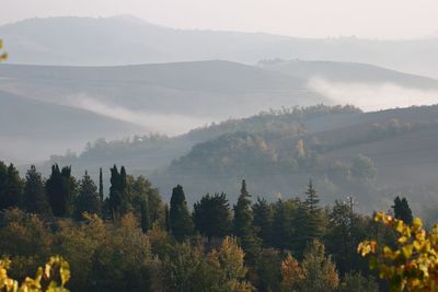 Panoramic shot of trees and mountains against sky