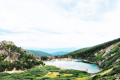 Scenic view of river amidst trees against sky