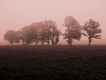 Trees on field against sky