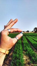 Cropped hand of man holding tiny ball on agricultural field