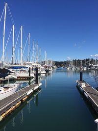 Sailboats moored in harbor against clear blue sky