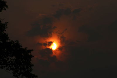 Low angle view of silhouette trees against sky at sunset