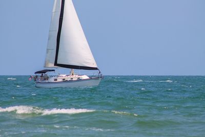 Sailboat sailing in sea against clear sky