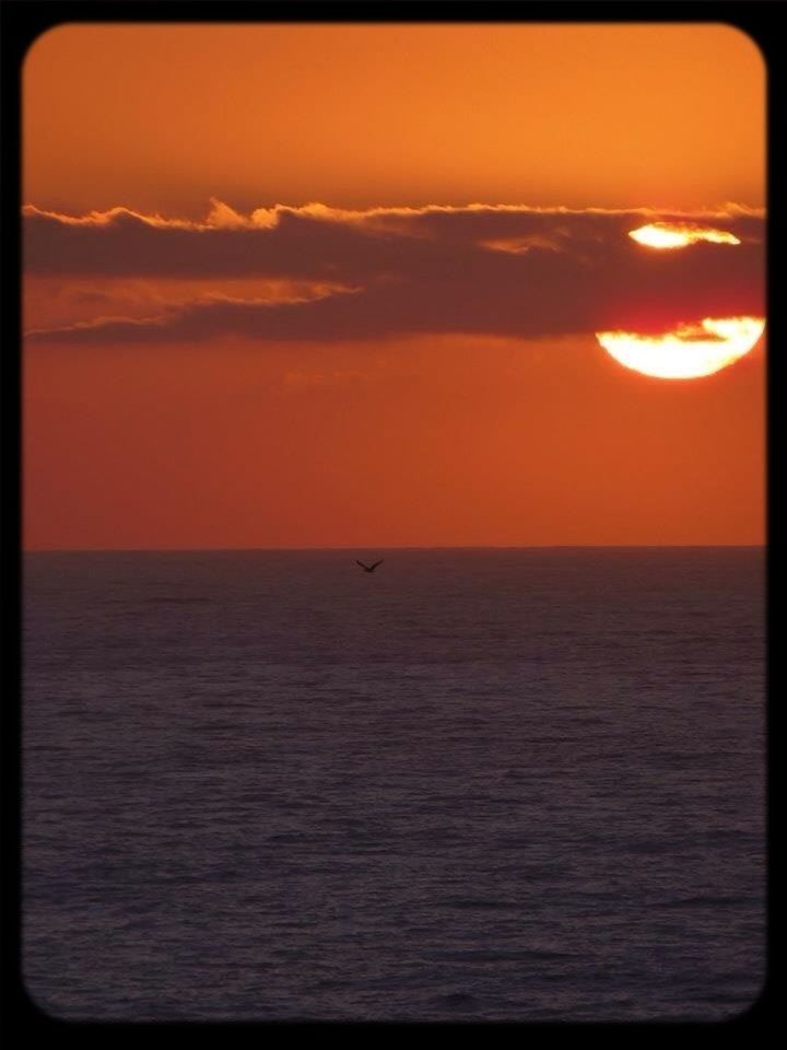 sunset, orange color, scenics, transfer print, horizon over water, sea, tranquil scene, beauty in nature, water, sky, tranquility, sun, auto post production filter, idyllic, nature, cloud - sky, rippled, cloud, dramatic sky, waterfront