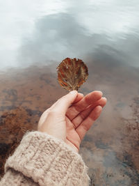 Cropped hand of woman holding leave