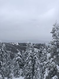 Scenic view of snow covered landscape against sky