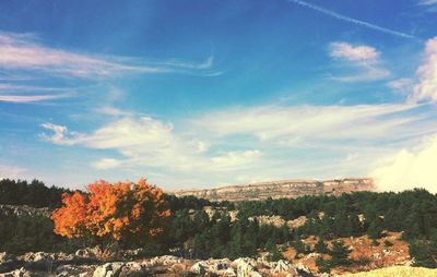 Scenic view of landscape against blue sky