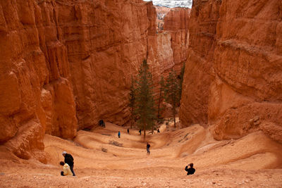 High angle view of people hiking at bryce canyon national park