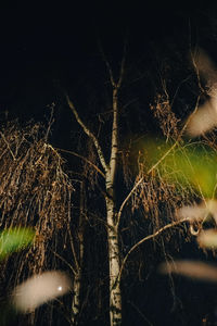 nature