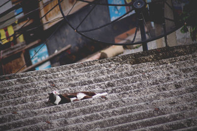High angle view of woman sleeping on floor