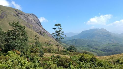 Scenic view of tree mountains against sky