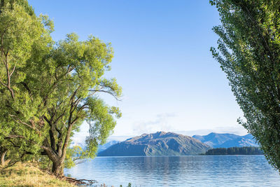 Scenic view of lake against clear blue sky