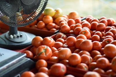 Close-up of vegetables for sale in market