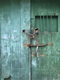 Green wooden closed door