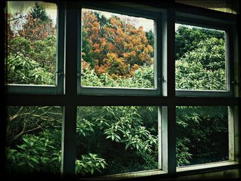 window
