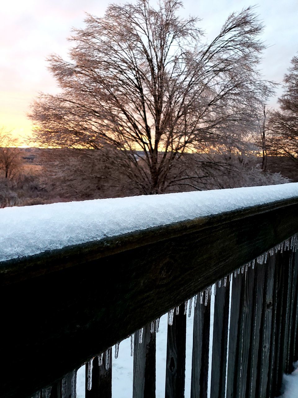 tree, winter, snow, cold temperature, bare tree, sky, no people, nature, frozen, plant, barrier, railing, fence, wood - material, boundary, beauty in nature, architecture, day, outdoors, ice, icicle