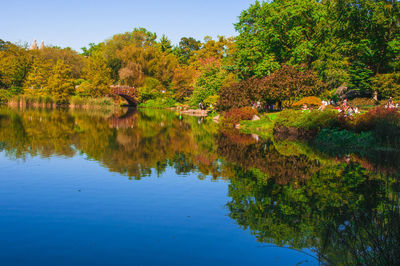 Scenic view of lake by trees during autumn