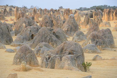 Rock formations in a desert