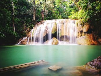 View of waterfall in forest