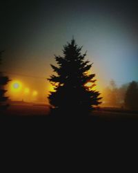 Silhouette tree against sky during sunset