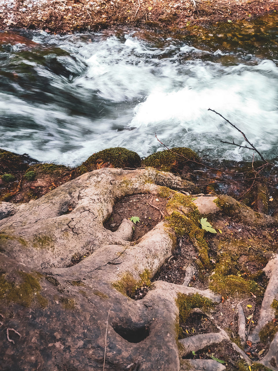 HIGH ANGLE VIEW OF STREAM