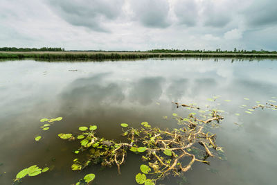 Scenic view of lake against cloudy sky