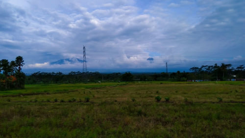 Scenic view of field against sky