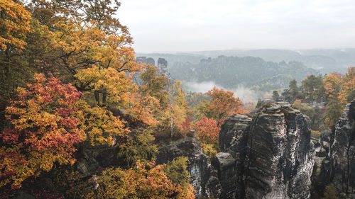 High angle view of rocky mountains and autumn trees in foggy weather