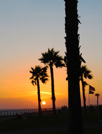 Silhouette palm trees on beach against sky during sunset