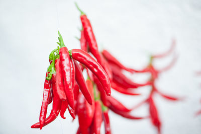 Close-up of red chili peppers