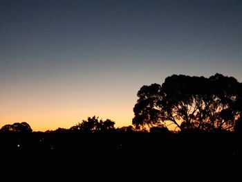 Silhouette trees against clear sky during sunset