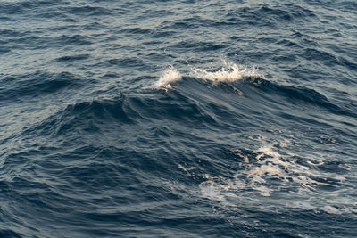 High angle view of sea