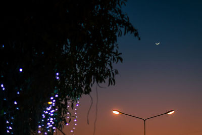 Low angle view of illuminated tree against sky at night