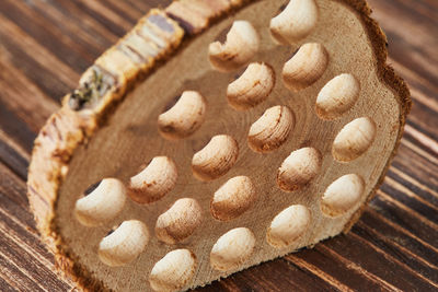 Piece of eucalyptus wood with holes for inhalation for sore throat on wooden background