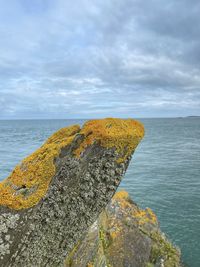 Rock on sea shore against sky