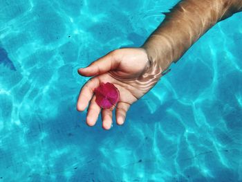 High angle view of mans hand underwater holding flower in swimming pool