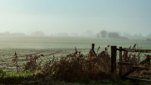 Scenic view of field against sky during foggy weather