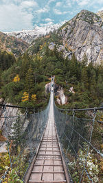 Footbridge amidst trees and mountains