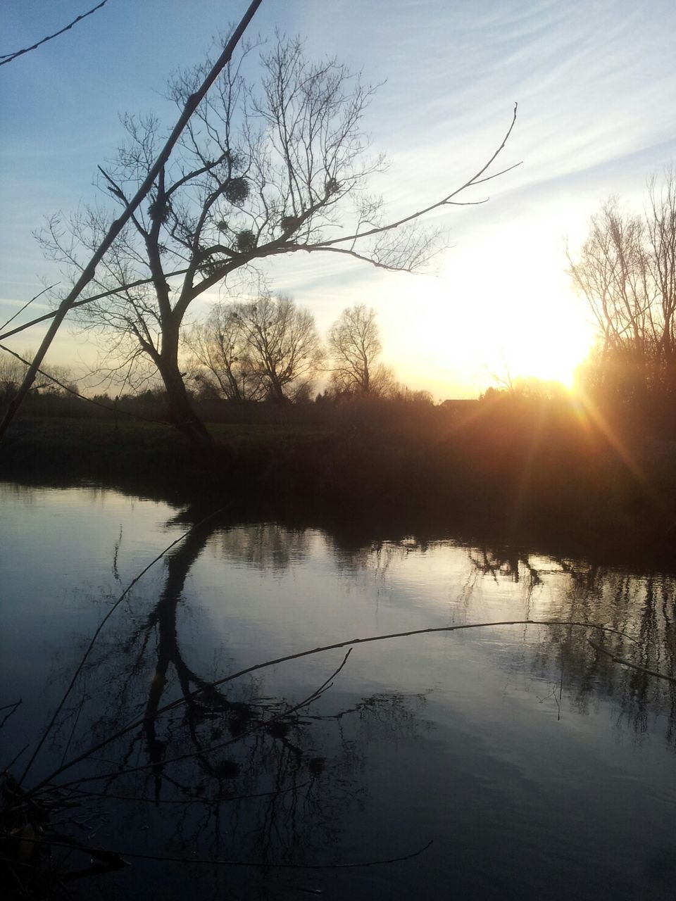 sun, sunset, water, bare tree, tranquility, lake, tranquil scene, reflection, scenics, beauty in nature, tree, silhouette, sky, sunlight, nature, sunbeam, branch, river, idyllic, lens flare