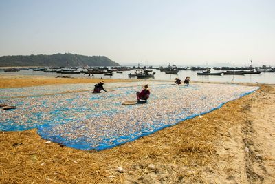 People drying fish on net at harbor against clear sky