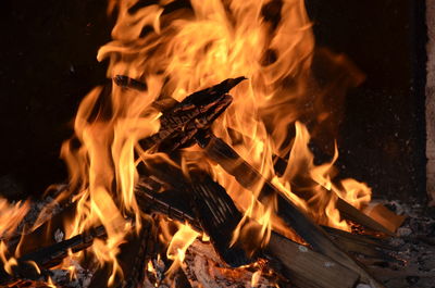 Close-up of bonfire at night