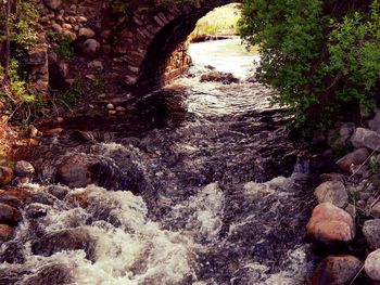 Stream flowing through forest