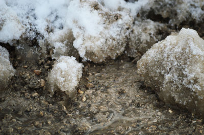 Close-up of snow on beach