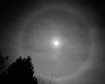 Low angle view of silhouette trees against sky at night