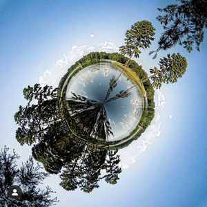 Digital composite image of trees against sky