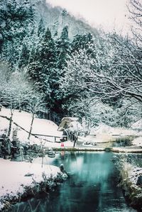 Scenic view of frozen lake in forest during winter
